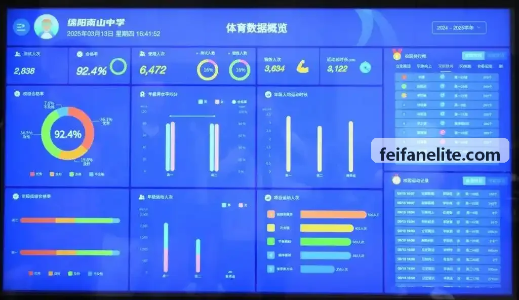 非凡体育-职业足球联赛战术应用现场